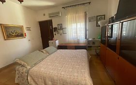 Cocinella